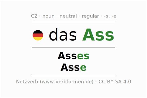 asss|ass noun .